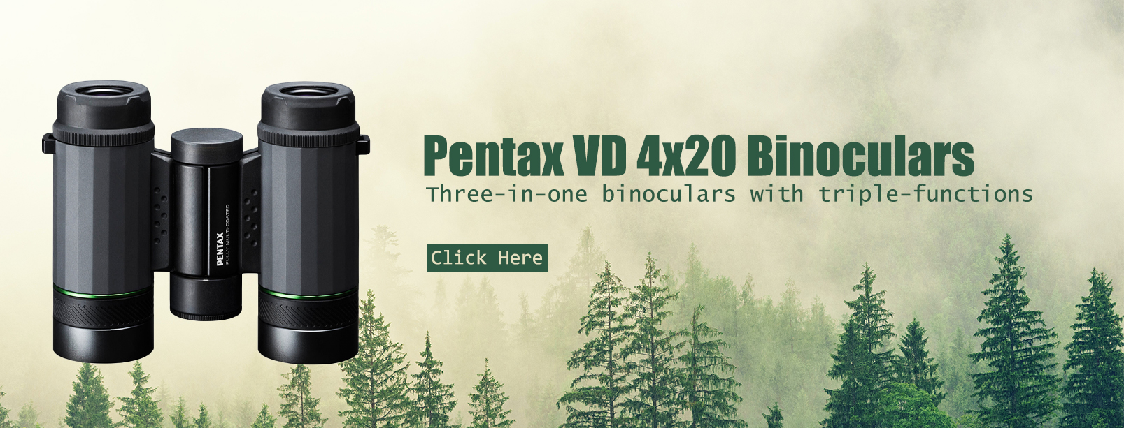 Pentax VD 4x20